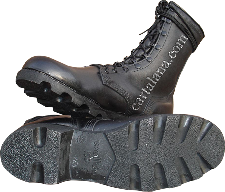 Ł American Military Boots (Mildew 
